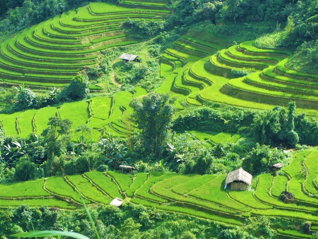 Northern Vietnam Biking Trip 7 Days